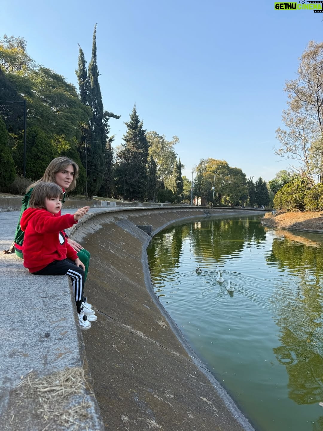 Zoraida Gómez - 2.1K Likes - Un día increíble de museo de juego y de naturaleza, un día diferente lleno de momentos especiales 
#crea #acciona #vive #ama