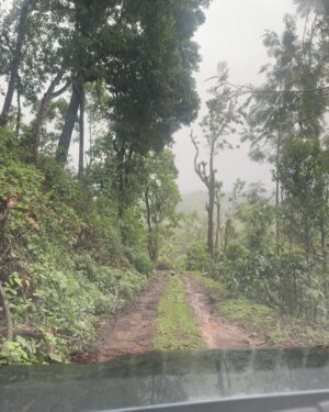 bhumika Basavaraj Instagram - That smell of wet earth, and the sound of falling rain is my addiction✨🌧️

#bhumikabasavaraj