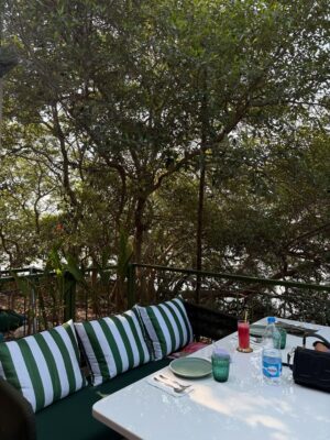 deeksha Instagram - Too busy enjoying life to explain it.
@oo.olivia.goa @socialswitch.in