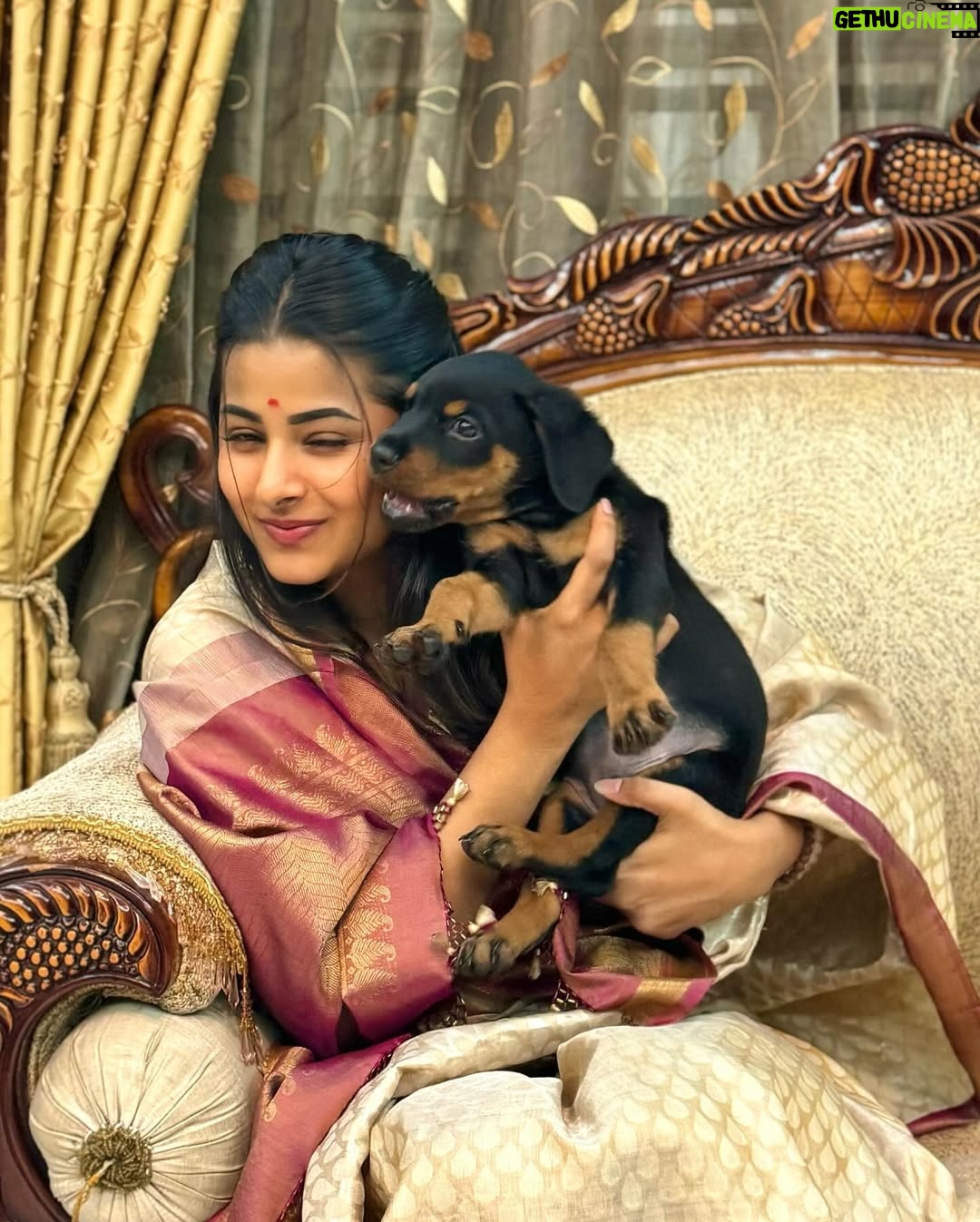 monisha Vijaykumar - 27.5K Likes - Happy Navarathri from my Bheema Bangari ❤️🧿✨