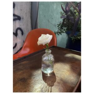 İpek Erdem Instagram - 🌹 gibi bir hafta

#beyoğlu #çatı #müzik #aşk #meşk #arkadaş #gül #konser #landofsassion #canömeruygan #jommyjai #raimpaksoy #hakanmortaş #aquadrum #dolunay #merkürretrosu #sekizkapısı #aile #yolculuk