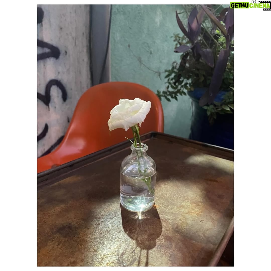 İpek Erdem - 1.4K Likes - 🌹 gibi bir hafta

#beyoğlu #çatı #müzik #aşk #meşk #arkadaş #gül #konser #landofsassion #canömeruygan #jommyjai #raimpaksoy #hakanmortaş #aquadrum #dolunay #merkürretrosu #sekizkapısı #aile #yolculuk