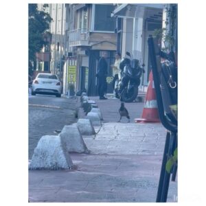 İpek Erdem Instagram - 🌹 gibi bir hafta

#beyoğlu #çatı #müzik #aşk #meşk #arkadaş #gül #konser #landofsassion #canömeruygan #jommyjai #raimpaksoy #hakanmortaş #aquadrum #dolunay #merkürretrosu #sekizkapısı #aile #yolculuk