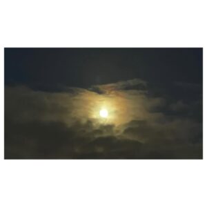 İpek Erdem Instagram - “Moonlight and love songs, never out of date”
#london