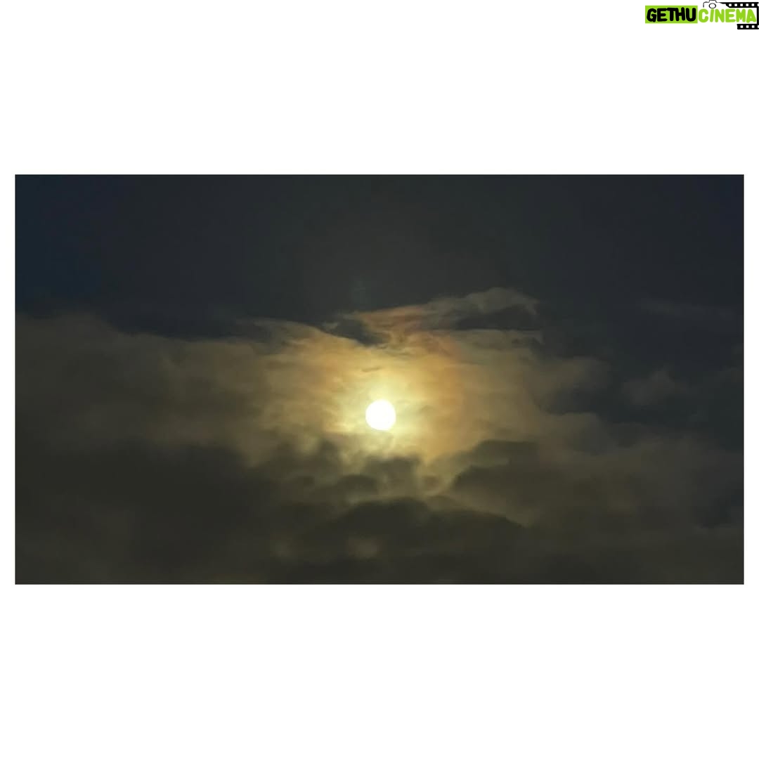İpek Erdem - 1.9K Likes - “Moonlight and love songs, never out of date”
#london