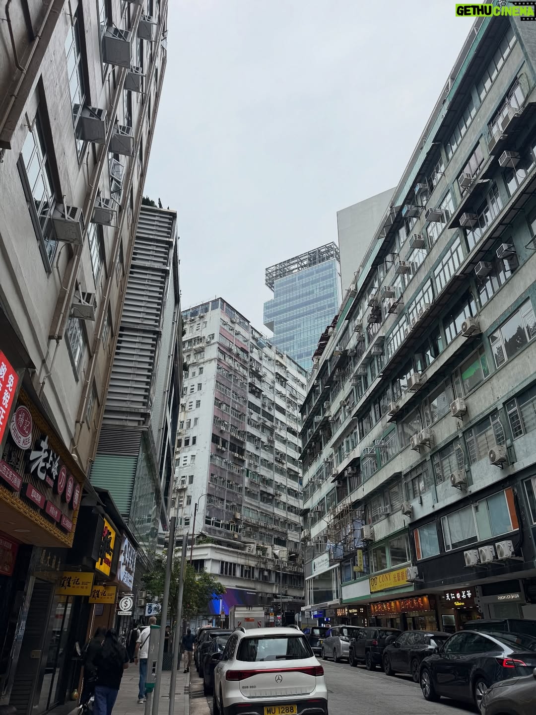 peppe - 11.4K Likes - Memories of HongKong // 香港

香港3回目にしてようやく気がつく…この街が大好きだということに🤔🥰