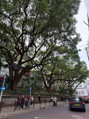 peppe Instagram - Memories of HongKong // 香港

香港3回目にしてようやく気がつく…この街が大好きだということに🤔🥰