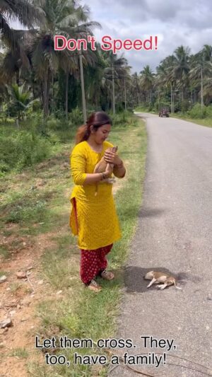 preethi nayaka Instagram - Please Drive Carefully On Roads👏They Also Have Loved Ones Who Care For Them🥹😣

#savedog #savedogslife🐶 #savedogslives #preethinayaka #viral #doglover #thumkur #mysore