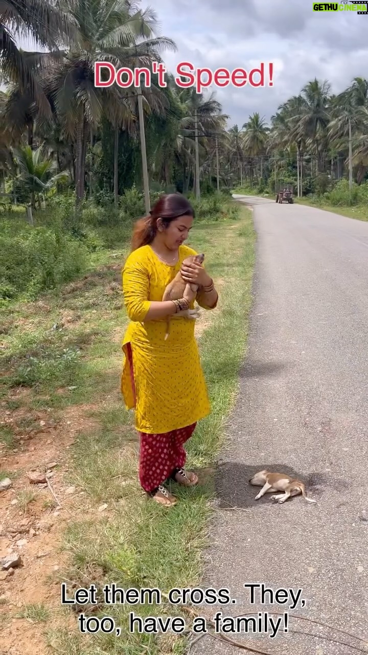 preethi nayaka - 6.6K Likes - Please Drive Carefully On Roads👏They Also Have Loved Ones Who Care For Them🥹😣

#savedog #savedogslife🐶 #savedogslives #preethinayaka #viral #doglover #thumkur #mysore