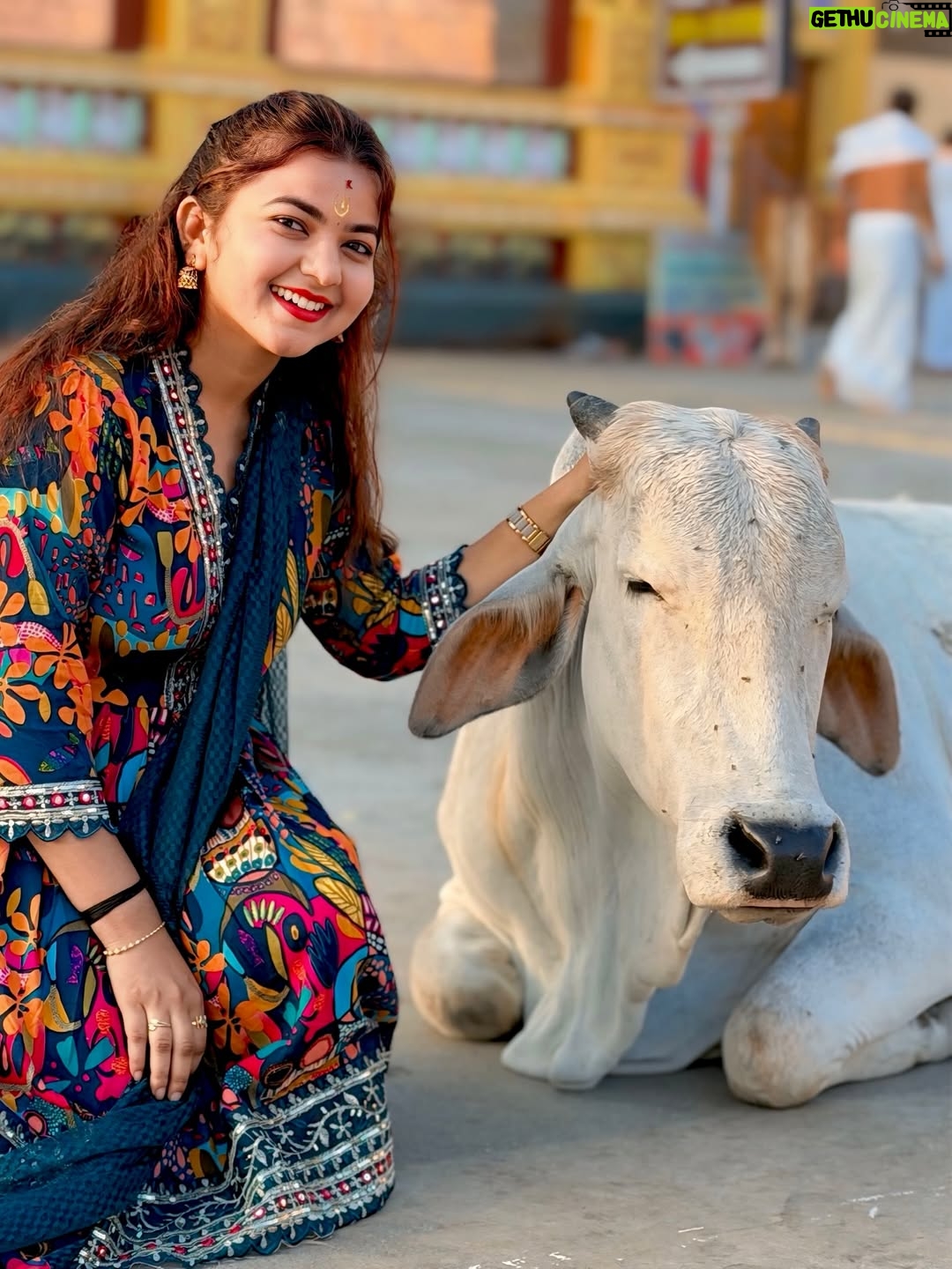 preethi nayaka - 6K Likes - “God will give you the desire of your heart when the time is right🪷🧿🦚

#rayaru