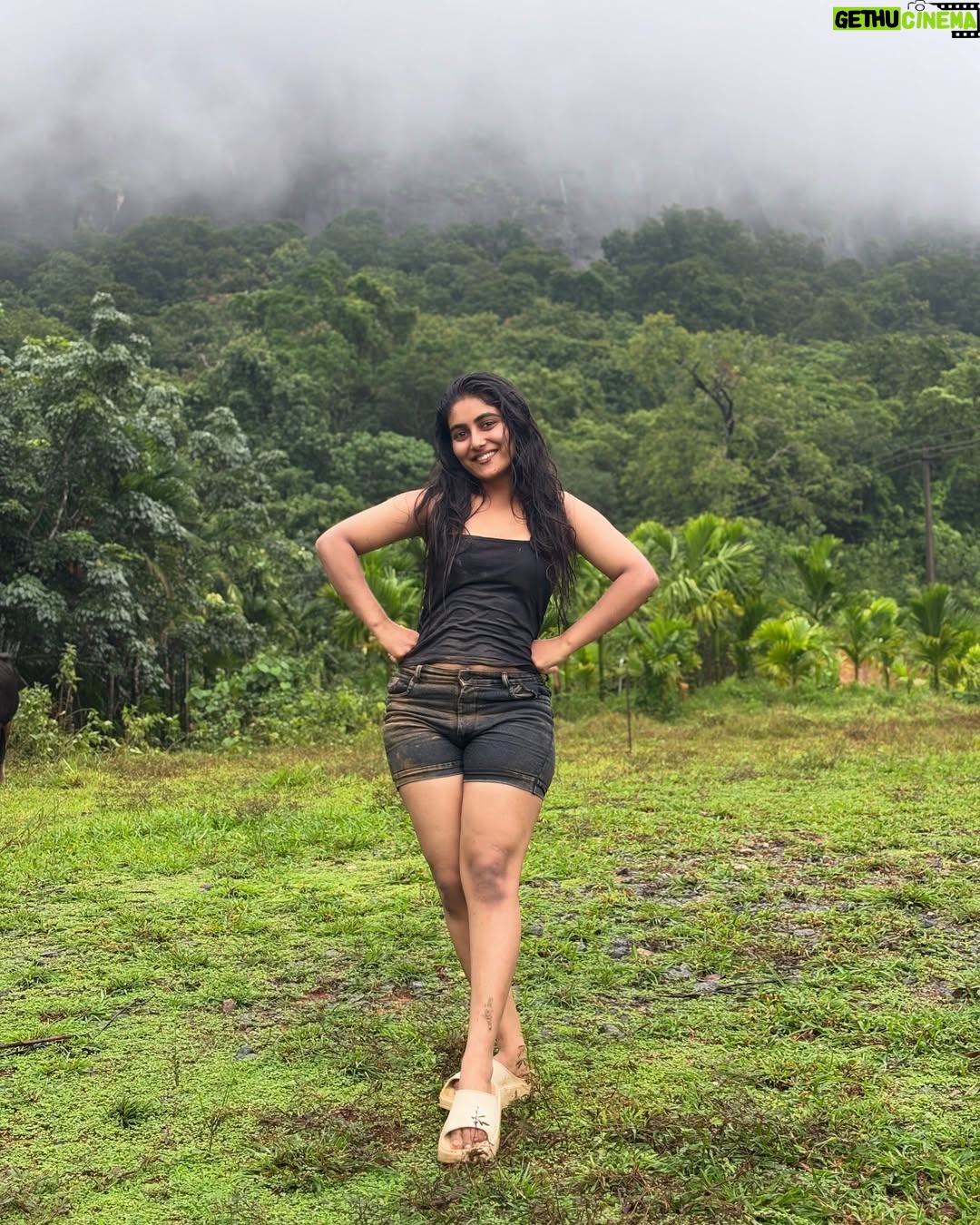 priyanka ds - 46.9K Likes - ಕಾಡು ಮಳೆಯನು ಮಳೆಯ ನೆನಪನು ….🍃✨🧿🥹