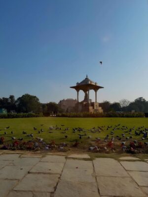 vedika Mehta Instagram - Last day of the year: flew in, ate well, felt grateful. Jaipur🩷✨
