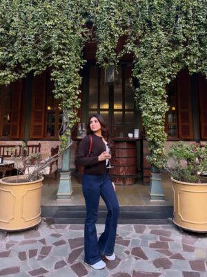 vedika Mehta Instagram - Last day of the year: flew in, ate well, felt grateful. Jaipur🩷✨
