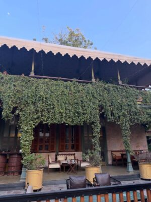 vedika Mehta Instagram - Last day of the year: flew in, ate well, felt grateful. Jaipur🩷✨