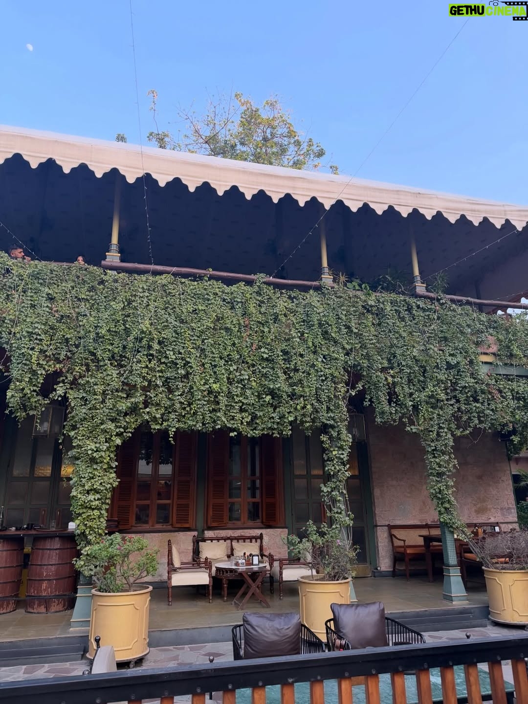 vedika Mehta - 3.7K Likes - Last day of the year: flew in, ate well, felt grateful. Jaipur🩷✨