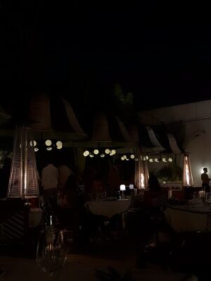 vedika Mehta Instagram - Last day of the year: flew in, ate well, felt grateful. Jaipurš©·āØ