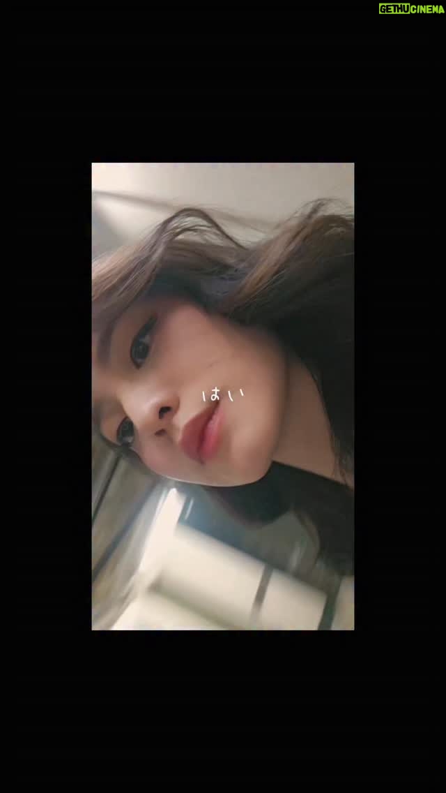 wynder waffe - 1.7K Likes - Ohayou🌼