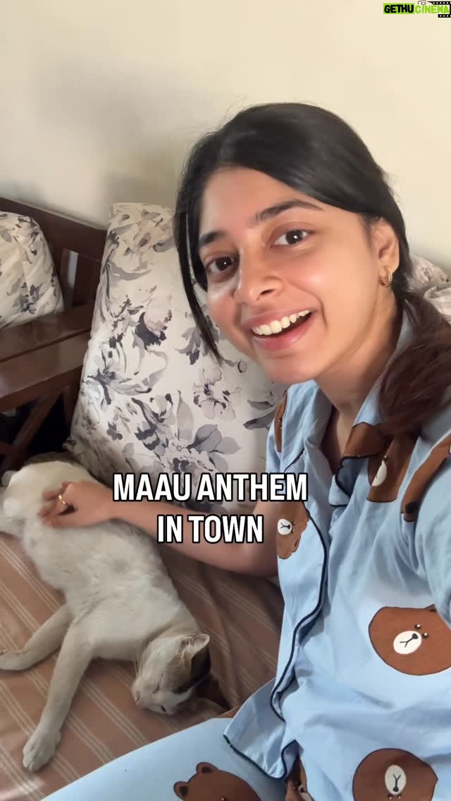 yashashree rao - 312.4K Likes - MANZARRRRRR 😛🧐

#instagram #fyp #reelsinstagram #foryou #explore #explorepage #cat #trending