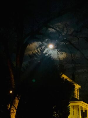 Alicia Garza Instagram - Full moon. A long hot bath with honey and florida. Dancing with my loves from near and far. 90s hip hop and R&B. After parties with lemon pepper and a lot of love. At 535am we was still at it, and that’s why I love yall. Ifa brought me the clearest reminders of who my real ones are. That love and joy are abundant, even still. I am so deeply grateful for the friendships that I have, for the loved ones in my life. I am 45 and alive and for that I am deeply humbled. I do not take it for granted, especially right now. This year I am calling in more dance parties, tending to my friendship gardens, doubling down on gathering and strategy, and continuing to work on my self so that I don’t bleed on people who didn’t cut me. This year and for the years to come, eagles only. No chickens.