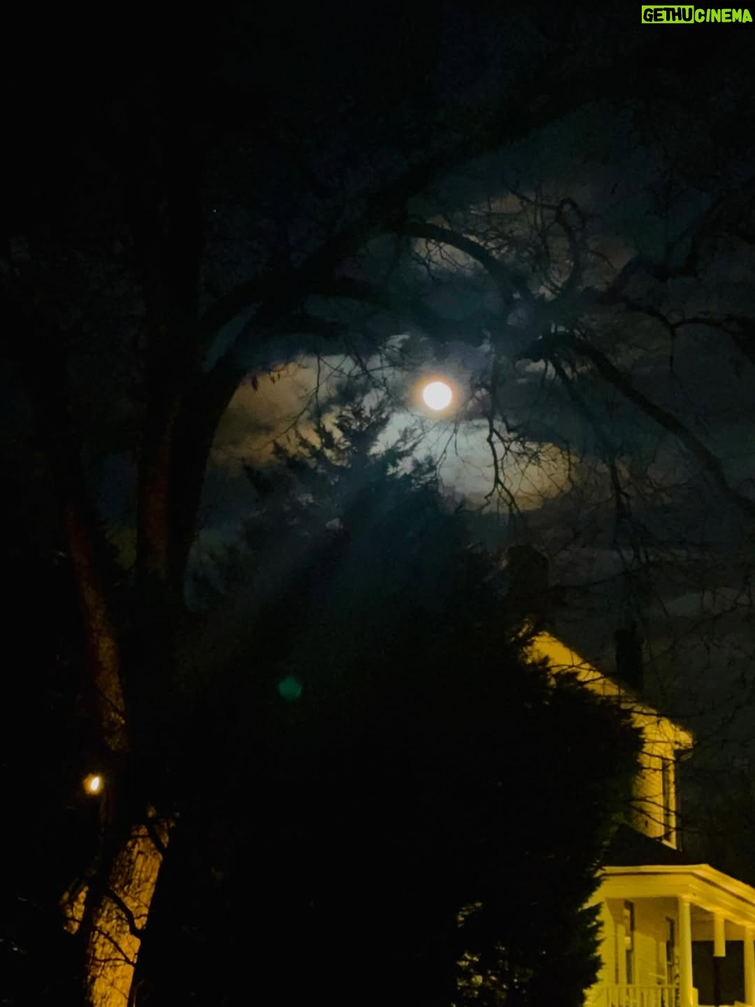 Alicia Garza - 714 Likes - Full moon. A long hot bath with honey and florida. Dancing with my loves from near and far. 90s hip hop and R&B. After parties with lemon pepper and a lot of love. At 535am we was still at it, and that’s why I love yall.  Ifa brought me the clearest reminders of who my real ones are. That love and joy are abundant, even still. I am so deeply grateful for the friendships that I have, for the loved ones in my life. I am 45 and alive and for that I am deeply humbled. I do not take it for granted, especially right now. This year I am calling in more dance parties, tending to my friendship gardens, doubling down on gathering and strategy, and continuing to work on my self so that I don’t bleed on people who didn’t cut me. This year and for the years to come, eagles only. No chickens.