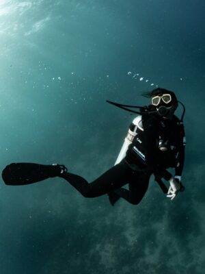 Alizeh Agnihotri Instagram - 🦈 week