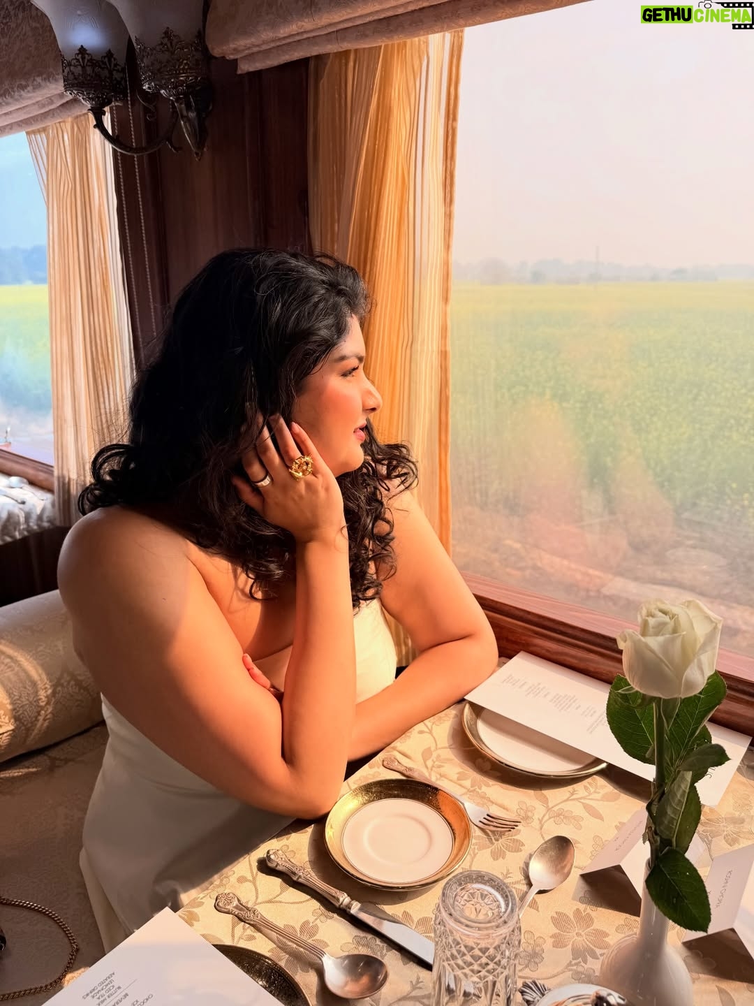 Anshula Kapoor - 50.7K Likes - Thursday, as seen through my camera roll ✨

Felt like a princess the moment I stepped onto the Palace on Wheels with @nexxusnewyork 🖤

The energy, the music, the people, the moments - everything felt perfectly in sync.

Impeccable hospitality, incredible food and a full hair styling salon created onboard (because luxury really is in the details), every element was thoughtfully curated. This was truly the kind of experience that doesn’t need exaggeration! 

Ending the day with dinner at the City Palace Jaipur was the perfect finale. 

Luxurious, indulgent, intentional.
An experience so unique, truly one of those days I know I’ll always remember 🖤

#Hosted