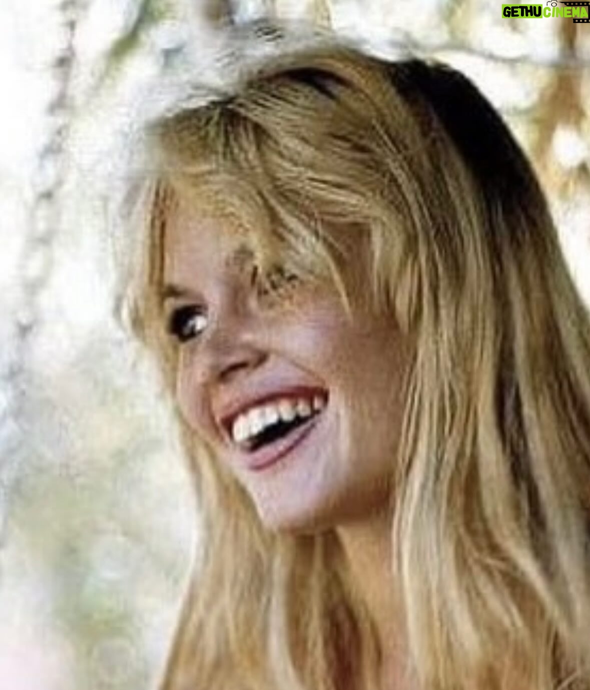Carole Richert - 3.4K Likes - Je l’adorais! absolument! depuis toujours! elle était du signe de la balance, je suis née le même jour que BB et j’en étais si fière! jeune actrice, elle était ma référence avec Gena Rowland et Romy Schneider ..je l’ai croisé un jour au marché de Saint-Tropez! #brigittebardot #eternelle #icones