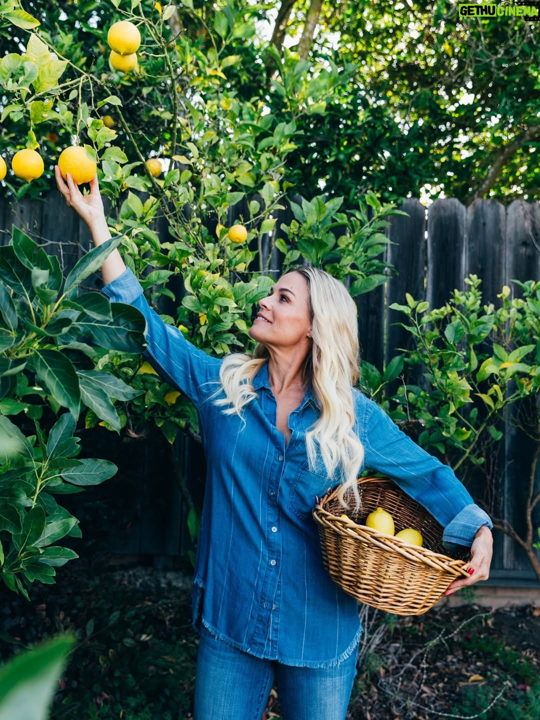 Cat Cora - 858 Likes - 🍋 It’s no secret that lemons are one of my favorite ingredients. As a Greek American, they’re part of my soul. They aren’t just popular in Greece, they’re foundational. Simple, bold, fresh, and alive.

Lemons are inexpensive but powerful. A squeeze of brightness, a touch of acid, a little lift that brings any dish to life. From savory to sweet, they’re the finishing touch that wakes everything up.

Now I’m curious, what ingredient do you always reach for? The one that feels like home? Tell me why!