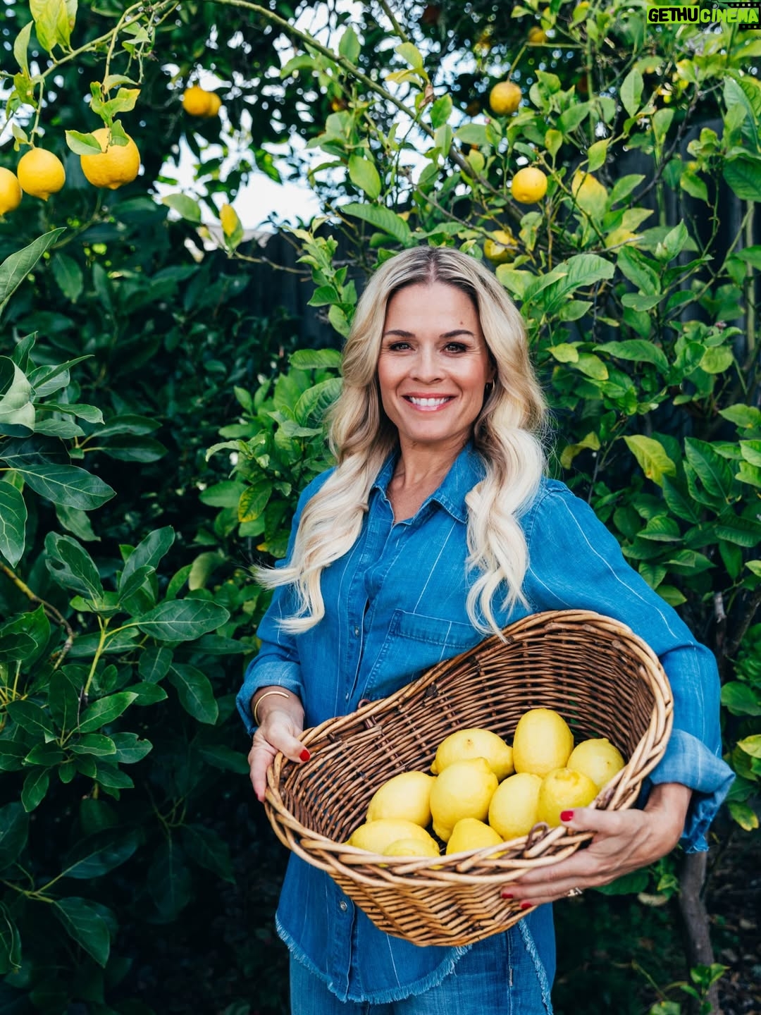 Cat Cora - 858 Likes - 🍋 It’s no secret that lemons are one of my favorite ingredients. As a Greek American, they’re part of my soul. They aren’t just popular in Greece, they’re foundational. Simple, bold, fresh, and alive.

Lemons are inexpensive but powerful. A squeeze of brightness, a touch of acid, a little lift that brings any dish to life. From savory to sweet, they’re the finishing touch that wakes everything up.

Now I’m curious, what ingredient do you always reach for? The one that feels like home? Tell me why!