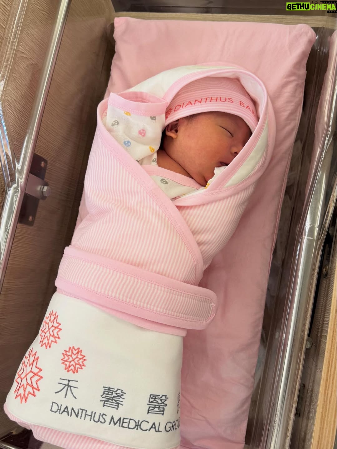 Esther Liu - 68.5K Likes - 一直沒好好看自己的生產紀錄
打開一張張照片，再次深刻的體會
那天，是我生命裡最奇妙的一天

分不清緊張跟興奮的比例
但手術室裡以專業作為基調的輕鬆
充斥著準備的聲音
環境裡每個人都比我更清楚知道要下一步要做什麼
讓人感到安心又放鬆
我可以很專心感受第一次見到寶寶的時刻

「歡迎你來到這個世界上」

非常洪亮的哭聲
讓我也哭了，像完成任務了
感恩你平安健康
對你是既陌生又過分熟悉的心情
卻又在你躺在我懷裡的瞬間確定
我會永遠愛你

從孕期開始了解你關心你
明明只隔著肚皮
但什麼都要靠著專業醫師護理以及各種檢查
才能多知道你一些
到人生轉變身分的一天
生產日點滴麻醉剖腹縫合
文字只是幾個字，卻是多少人的心力
謝謝禾馨裡我遇到的每位醫師護理師的照護
以及主治醫師張建玫醫師從孕期到剖腹一路以來給我如此安定的力量
讓我一步一步一關一關的
順利迎接連踢踢的到來
達成成為媽媽的第一階段
謝謝所有細心照顧🥹
@dianthusmfmclinic @kianmeichong 

照片裡生產日放的都是感動瞬間
比較衝擊的畫面我就自己收藏了
請大家安心觀看😂
附上一張比生產當天比我還緊張的太后與先生
（卻是完妝完髮🤷🏻‍♀️因為要跟連踢踢初見面）
📷: @yuweiiv