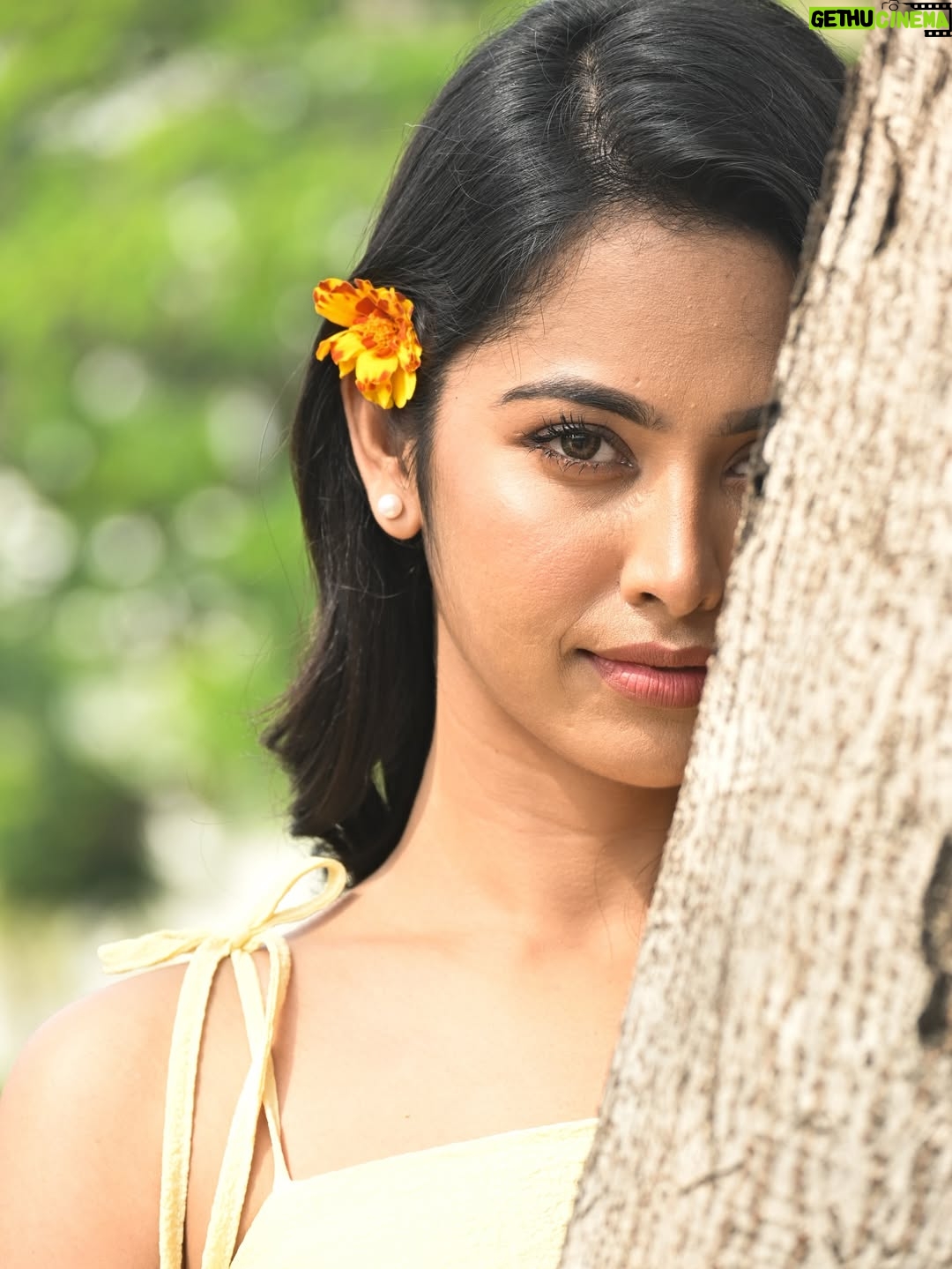 Gayathri Sri - 36.8K Likes - 🌼