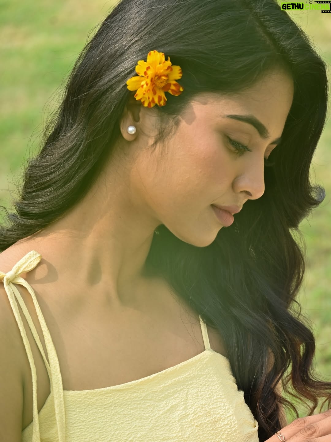 Gayathri Sri - 11.2K Likes - Just me and a quiet story 🌼. 

Team 

@shuttertrixphotography @brides.of.janani @ashwin.durairaj