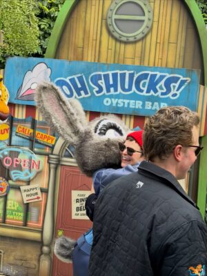 Ginnifer Goodwin Instagram - The Dallases do @disneyland