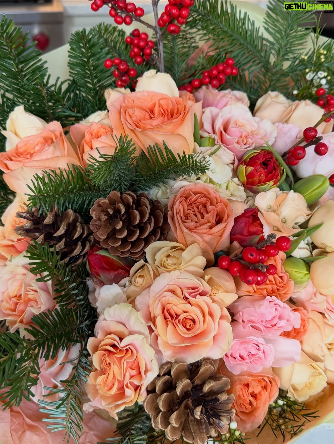 Ginnifer Goodwin - 42.3K Likes - The Dallases do the holidays