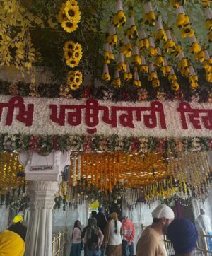 Gurleen Chopra Instagram - DHAN DHAN BABA DEEP SINGH JI 🙏🏻