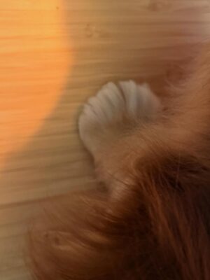 Chen Hua Instagram - 今天特別感性
大概是因為和一位友人聊天，他問我：
「這幾年你唱歌有特別去上課嗎？」

我說，其實沒有，直到去年年底，才上了幾堂。

他接著說，從 Ours 時期到現在，
我的唱功一直在不斷地在進步耶。

聽到那句話的時候，真的很開心。
因為我自己回去聽以前的歌，
也還是會想念那時候懵懵懂懂的我。
（但那表示這幾年，安迪和我都是真・獨自升級了。）

我想起高中那個像小屁孩一樣的自己，
總是拿著麥克風唱歌給全班聽。
不知道當時的她，有沒有預料過，未來的她，
會被這麼多家人、朋友、歌迷愛著與支持。

只能說謝謝，
謝謝這一路走來遇見的每一位貴人，
每一個看似微小的環節，
都像一個零件，
在某個瞬間，會悄悄地成為我生命裡的軌跡。
（像是在發表什麼得獎感言）

網路上說：
如果注定會分離，那相遇的意義是什麼？
是——
被你改變的那一部分的我，
代替你，永遠陪在了我身邊。

所以，2026 會更好的吧💝🦄
我淺淺地抱一下這麼多年其實脆弱又高敏的自己（抱