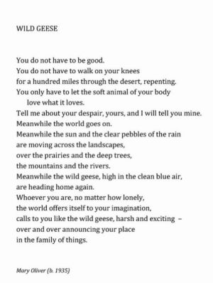 India Eisley Instagram - One of my favourite poems (2nd) 🤍