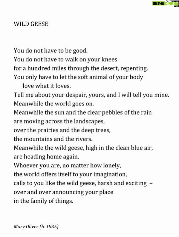 India Eisley - 9.2K Likes - One of my favourite poems (2nd) 🤍