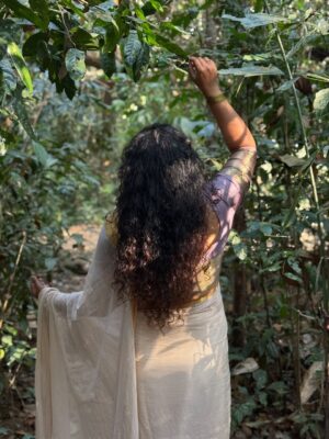 Jewel Mary Instagram - ഇരിങ്ങോൾ കാവ് 
വനദുർഗയുടെ വാസസ്ഥലം . വനത്തിൽ ദേവി വന്നു  ഇരുന്ന ഇടമാണത്രെ ! അവൾ ഇരുന്ന ഇടം ഇരുന്നവൾ കാവ് ആയി ... നാട്ടു ഭാഷയിൽ ഇരിങ്ങോൾ കാവ് എന്നും !കാവിനുള്ളിൽ ഒരു അപ്പൂപ്പൻ താടി വിത്ത് പോലെ നിന്നു ഞാൻ ... ഒരു കാറ്റടിച്ചാ പറന്നു പോകാൻ പാകത്തിന് അത്രയ്ക്കും ഭാരമില്ലാതെ ... പോകാൻ നേരം ഞാൻ പറഞ്ഞു "പോയിട്ട് വരാട്ടോ ! "
മ്മ്മ്മ്മ് ......... കാറ്റിൽ ഒരു മൂളക്കം കേട്ടുവോ ?!!!