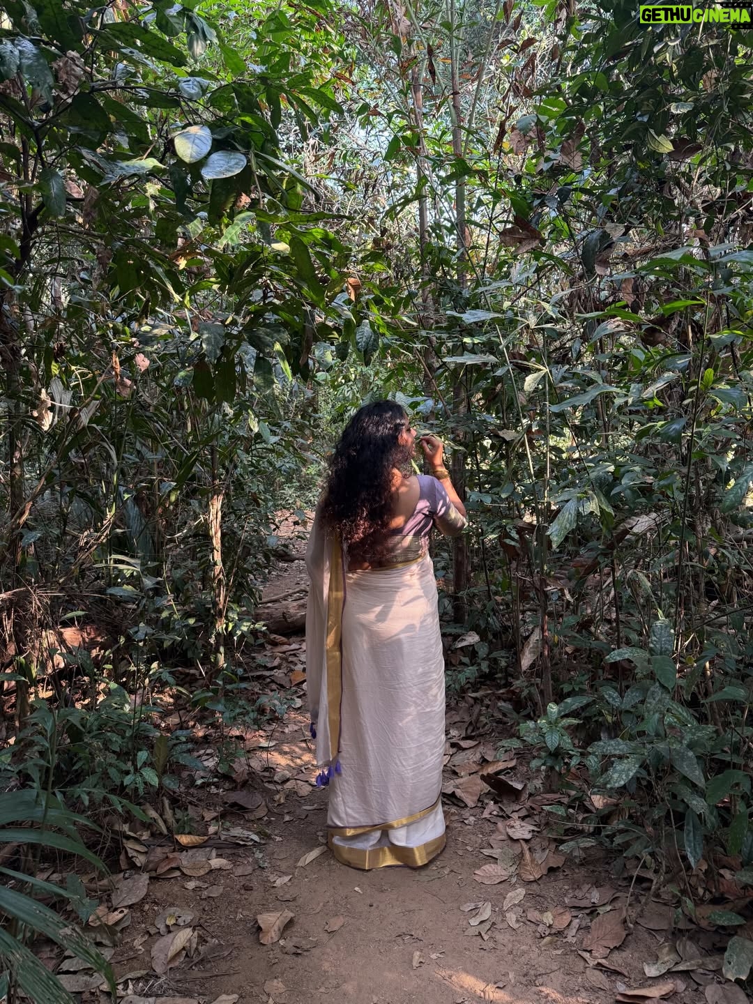 Jewel Mary - 39.2K Likes - ഇരിങ്ങോൾ കാവ് 
വനദുർഗയുടെ വാസസ്ഥലം . വനത്തിൽ ദേവി വന്നു  ഇരുന്ന ഇടമാണത്രെ ! അവൾ ഇരുന്ന ഇടം ഇരുന്നവൾ കാവ് ആയി ... നാട്ടു ഭാഷയിൽ ഇരിങ്ങോൾ കാവ് എന്നും !കാവിനുള്ളിൽ ഒരു അപ്പൂപ്പൻ താടി വിത്ത് പോലെ നിന്നു ഞാൻ ... ഒരു കാറ്റടിച്ചാ പറന്നു പോകാൻ പാകത്തിന് അത്രയ്ക്കും ഭാരമില്ലാതെ ... പോകാൻ നേരം ഞാൻ പറഞ്ഞു "പോയിട്ട് വരാട്ടോ ! "
മ്മ്മ്മ്മ് ......... കാറ്റിൽ ഒരു മൂളക്കം കേട്ടുവോ ?!!!