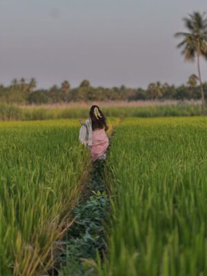 Keerthi Pandian Instagram - Pongal in #Erode ♥️ 

Best 📸 @ashokselvan 

#pink #saree #village #thottam