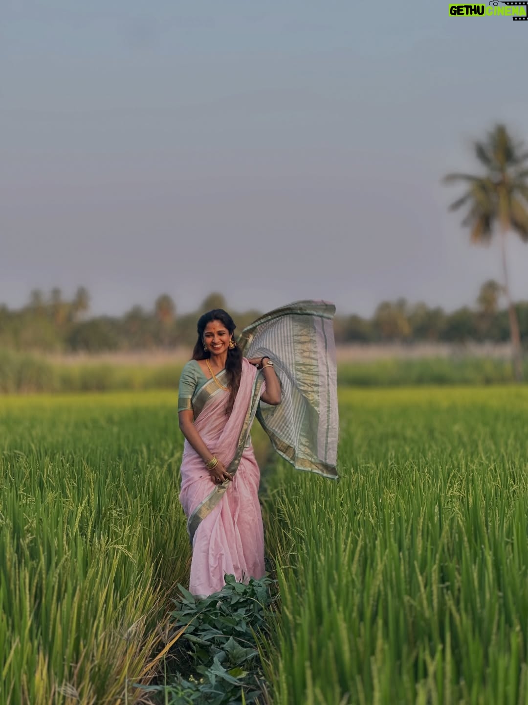 Keerthi Pandian - 168.9K Likes - Pongal in #Erode ♥️ 

Best 📸 @ashokselvan 

#pink #saree #village #thottam