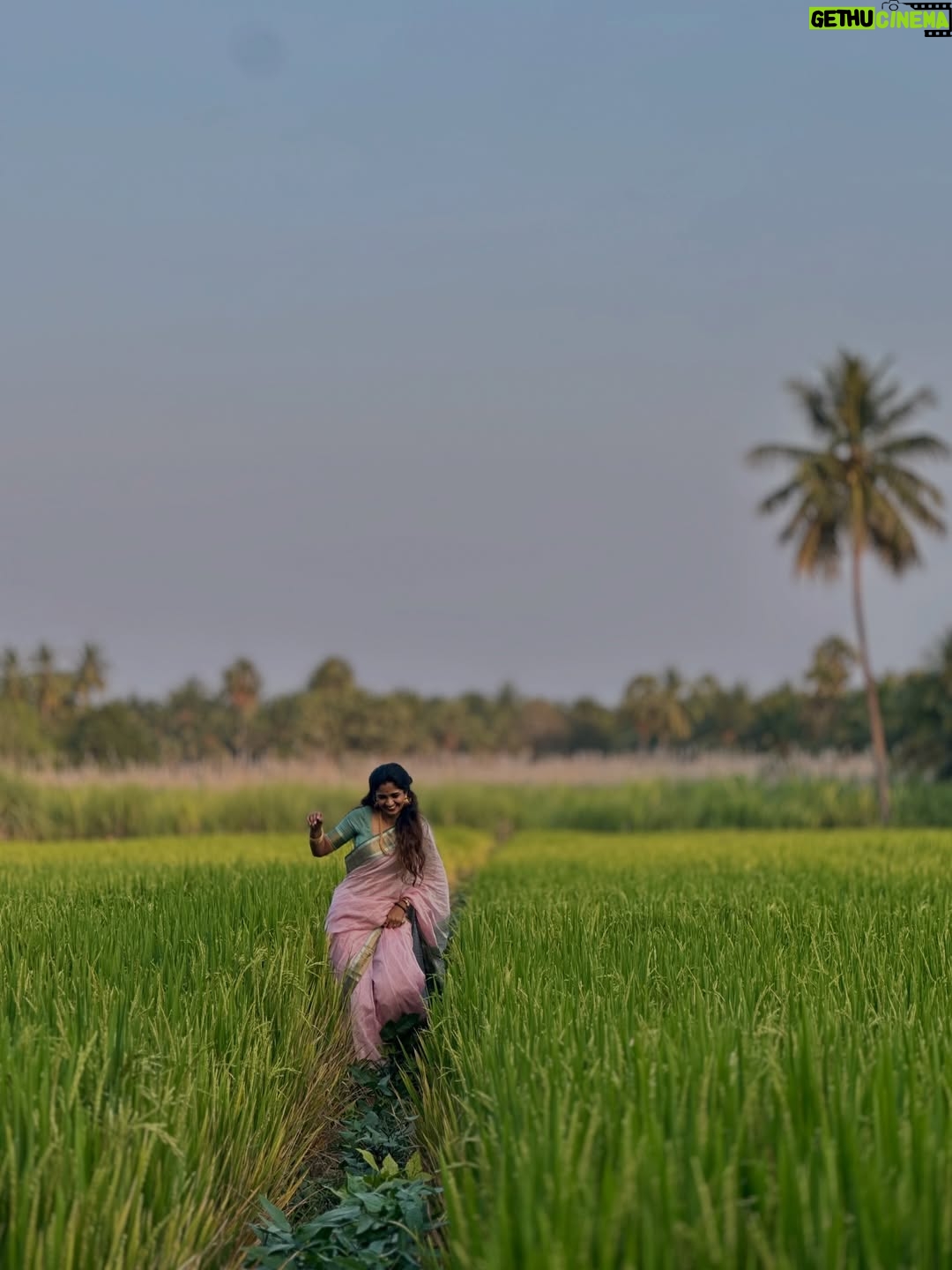 Keerthi Pandian - 168.9K Likes - Pongal in #Erode ♥️ 

Best 📸 @ashokselvan 

#pink #saree #village #thottam