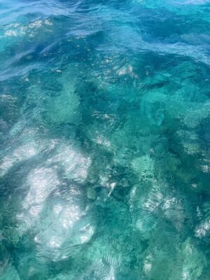 Laura Smet Instagram - Le plus bel endroit du monde 🙏 merci @constancehotels #ilemaurice🇲🇺 #paradis #luckygirl❤️ #holidays @ericrittercelebrities ☀️🌈🐬🌴🌞