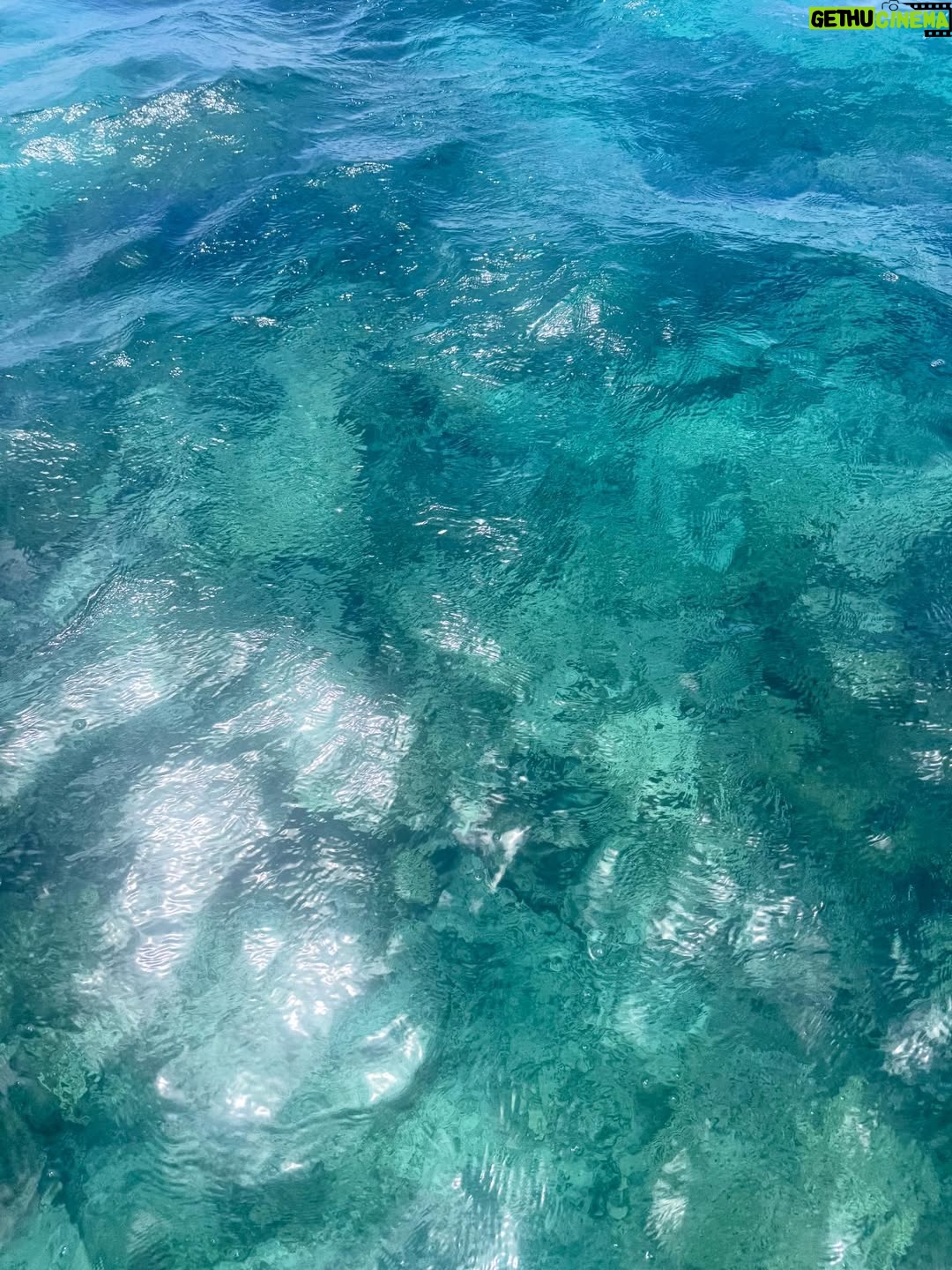 Laura Smet - 7.5K Likes - Le plus bel endroit du monde 🙏 merci @constancehotels #ilemaurice🇲🇺 #paradis #luckygirl❤️ #holidays @ericrittercelebrities ☀️🌈🐬🌴🌞