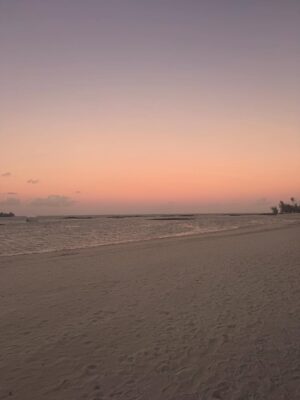Laura Smet Instagram - Le plus bel endroit du monde 🙏 merci @constancehotels #ilemaurice🇲🇺 #paradis #luckygirl❤️ #holidays @ericrittercelebrities ☀️🌈🐬🌴🌞