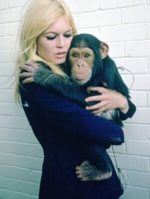 Laura Smet Instagram - Que Dieu vous garde 🙏 chère Brigitte Bardot, on va essayer d'être à la hauteur pour la suite de votre combat pour la protection des animaux 🙏♥️ #icon #cinema #brigittebardot #restinpeace🕊️
