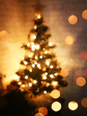Laura Smet Instagram - Je vous souhaite le plus beau Noël du monde 🎄✨✨🌲🎄✨✨🧚‍♀️⭐️⛄️🎁🤍✨✨🤍 #prenezsoindevous💖etdesvôtres #noël #love