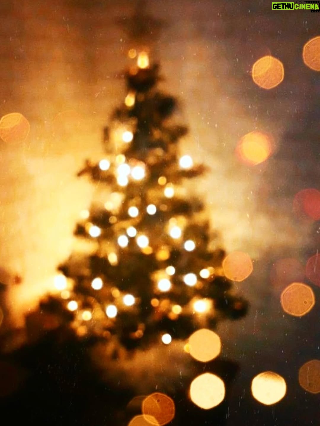 Laura Smet - 4.9K Likes - Je vous souhaite le plus beau Noël du monde 🎄✨✨🌲🎄✨✨🧚‍♀️⭐️⛄️🎁🤍✨✨🤍 #prenezsoindevous💖etdesvôtres #noël #love