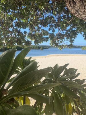 Laura Smet Instagram - Le plus bel endroit du monde 🙏 merci @constancehotels #ilemaurice🇲🇺 #paradis #luckygirl❤️ #holidays @ericrittercelebrities ☀️🌈🐬🌴🌞